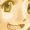 yellowlady(2003N62F38.9KB)